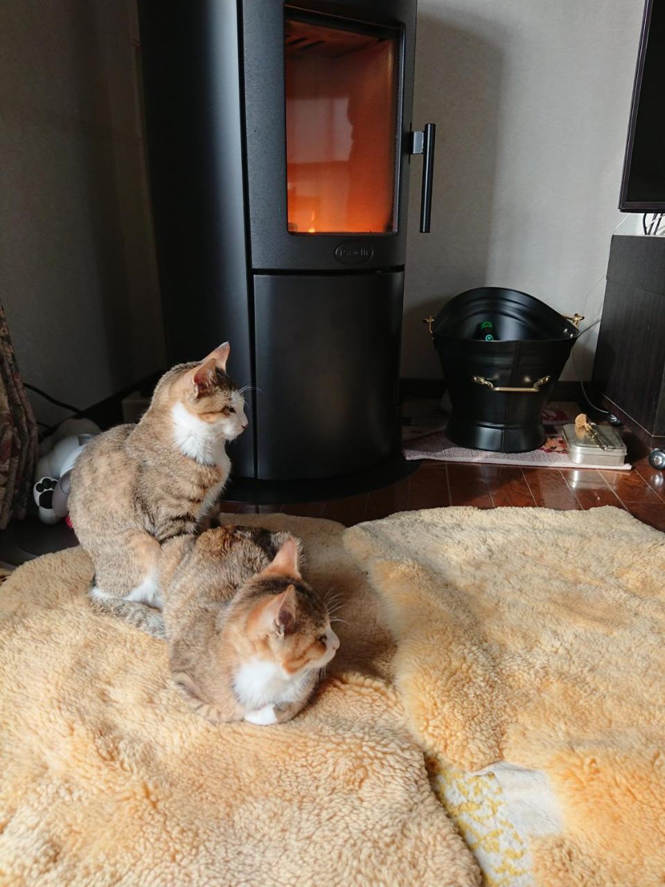 Guesthouse Gifu Suai Εξωτερικό φωτογραφία
